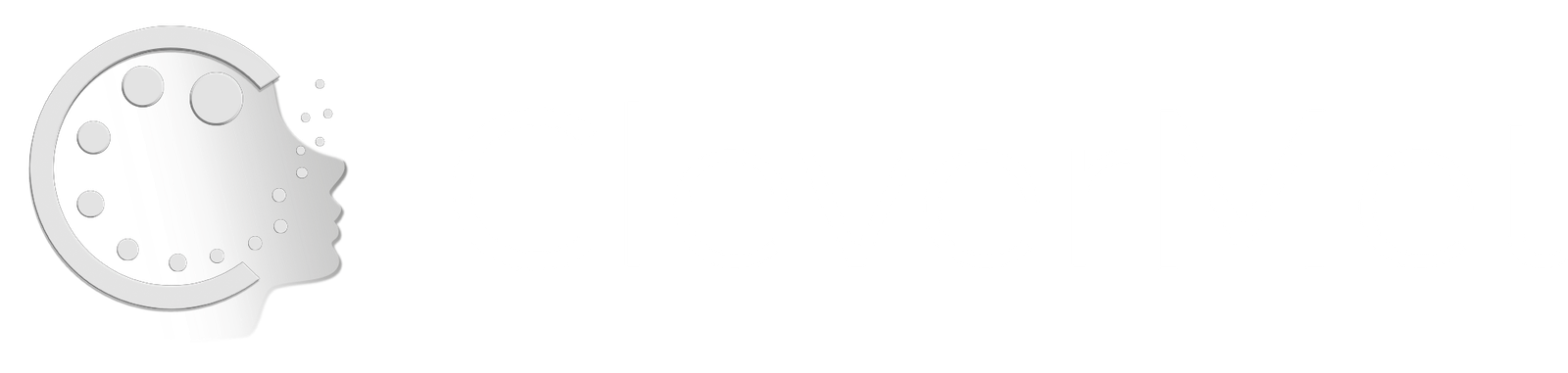 clevermet.cl